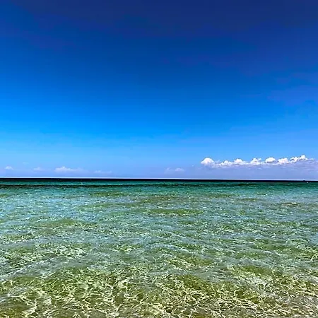 Trilocale Sul Mare Apartment *
